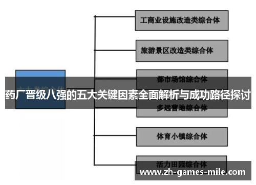 药厂晋级八强的五大关键因素全面解析与成功路径探讨