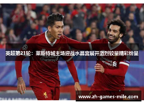 英超第21轮：莱斯特城主场迎战水晶宫展开激烈较量精彩纷呈