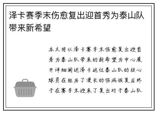 泽卡赛季末伤愈复出迎首秀为泰山队带来新希望